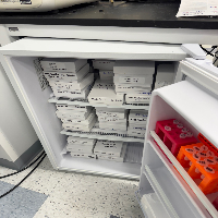 Fisherbrand Isotemp Undercounter Freezer image 0